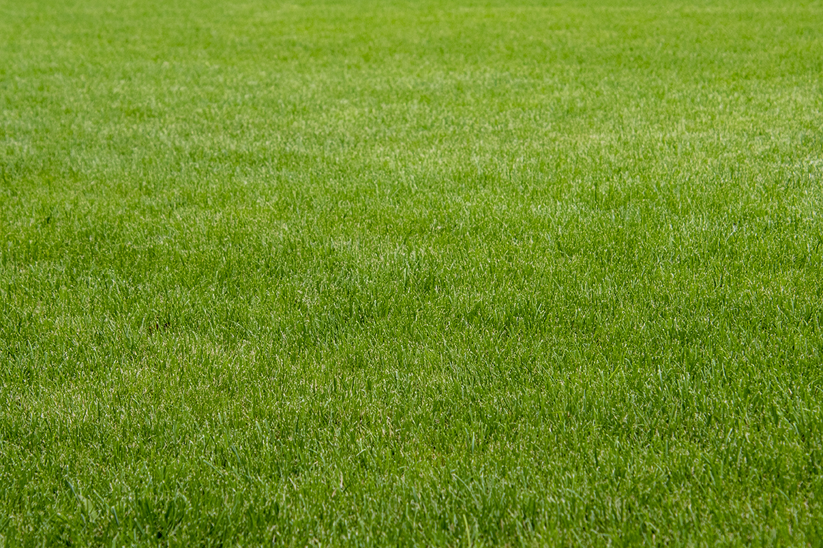 Lawn care