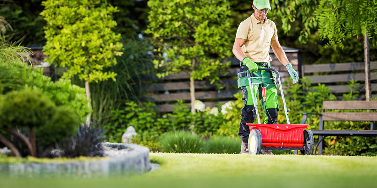 lawn fertilizer lawn winterizer