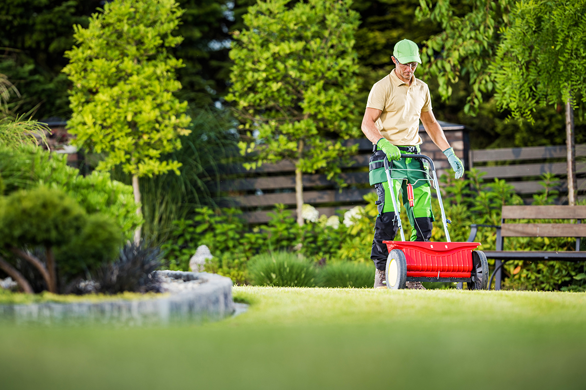 lawn winterizer