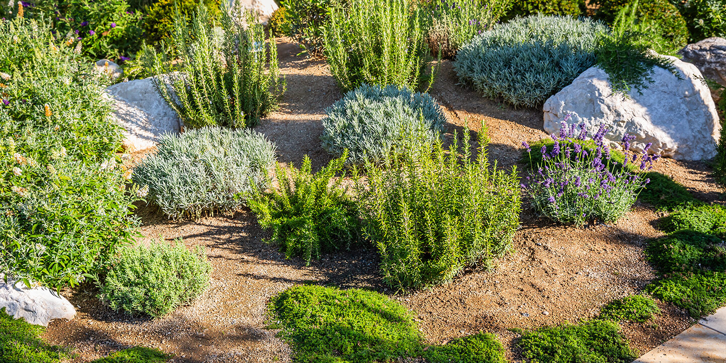 landscape maintenance