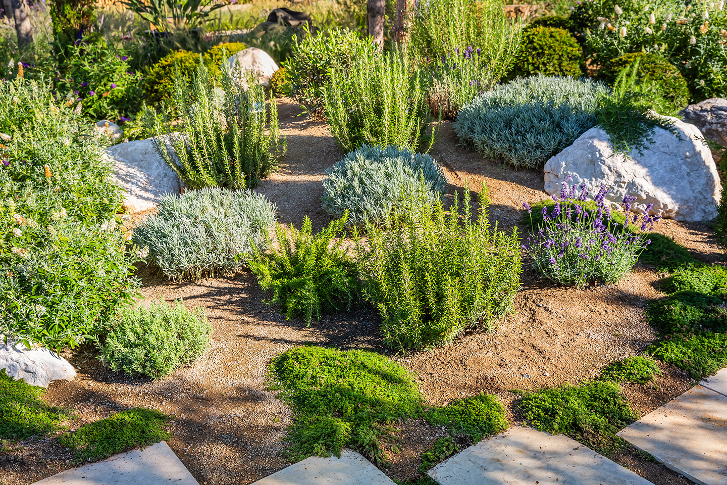 landscape maintenance