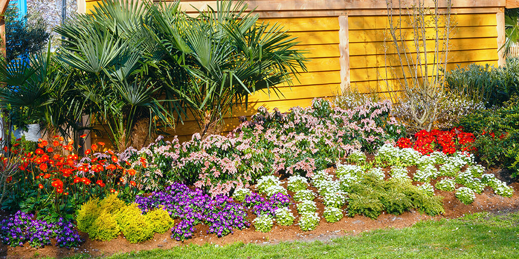 landscape design houston landscape design houston