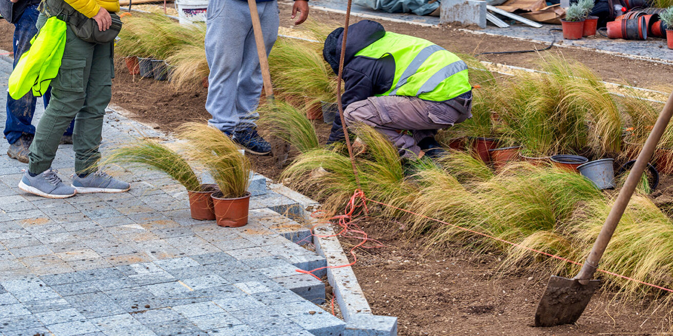 houston landscape project