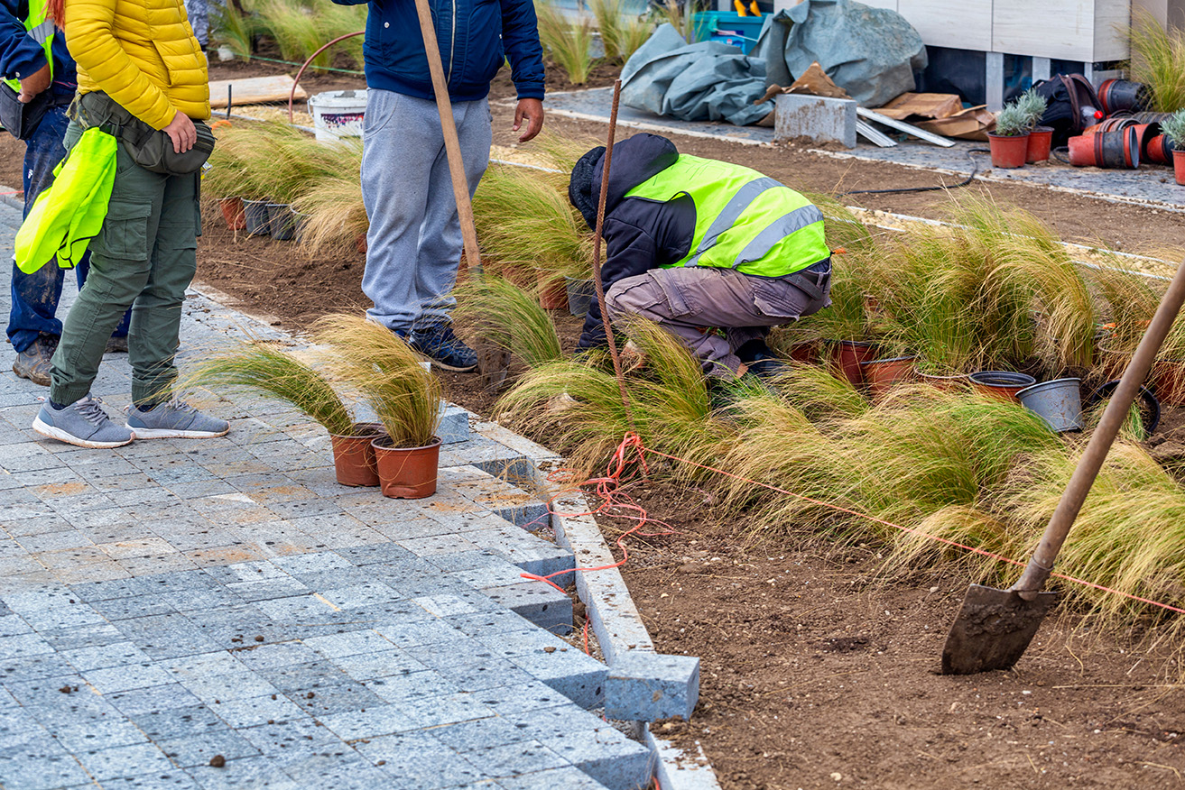 houston landscape project
