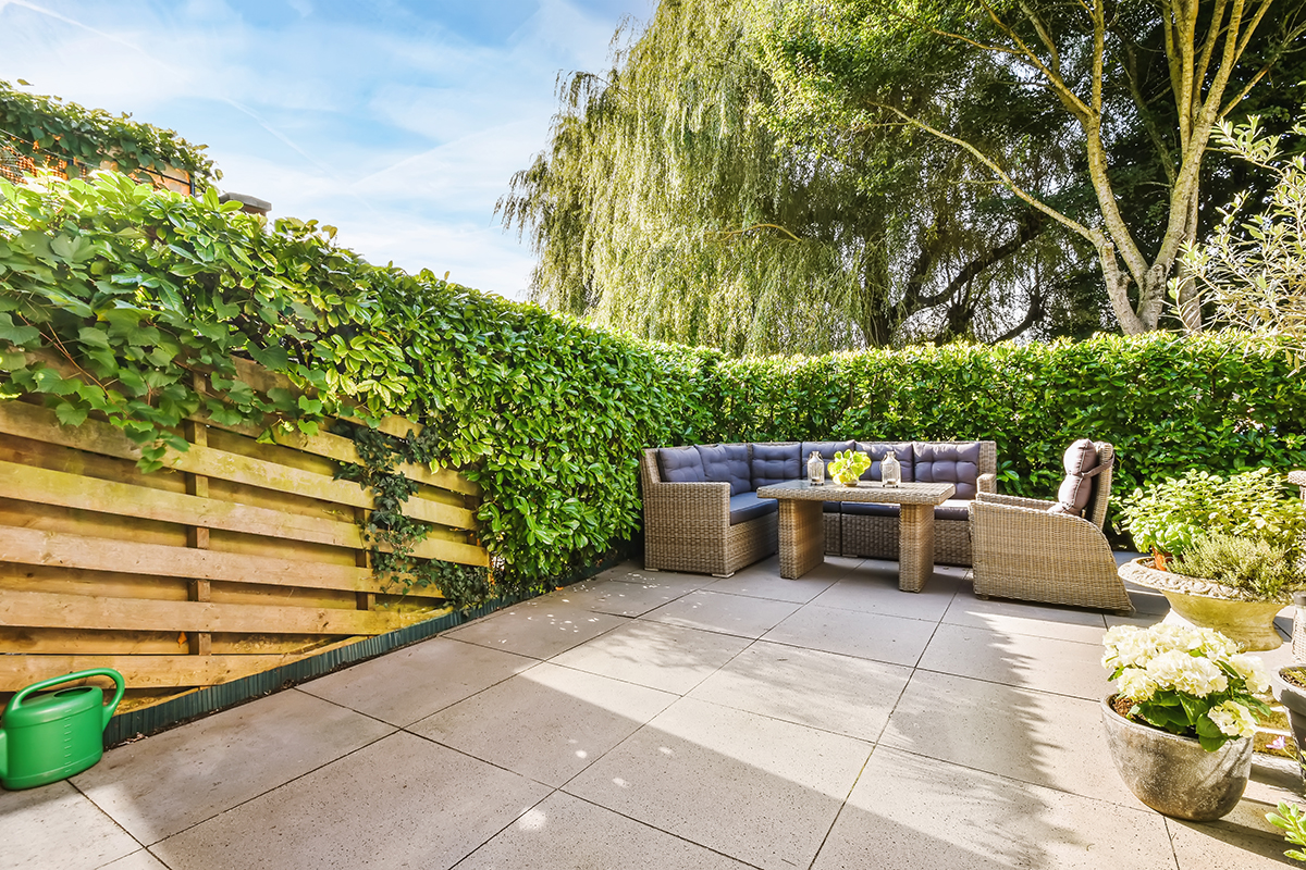 backyard privacy